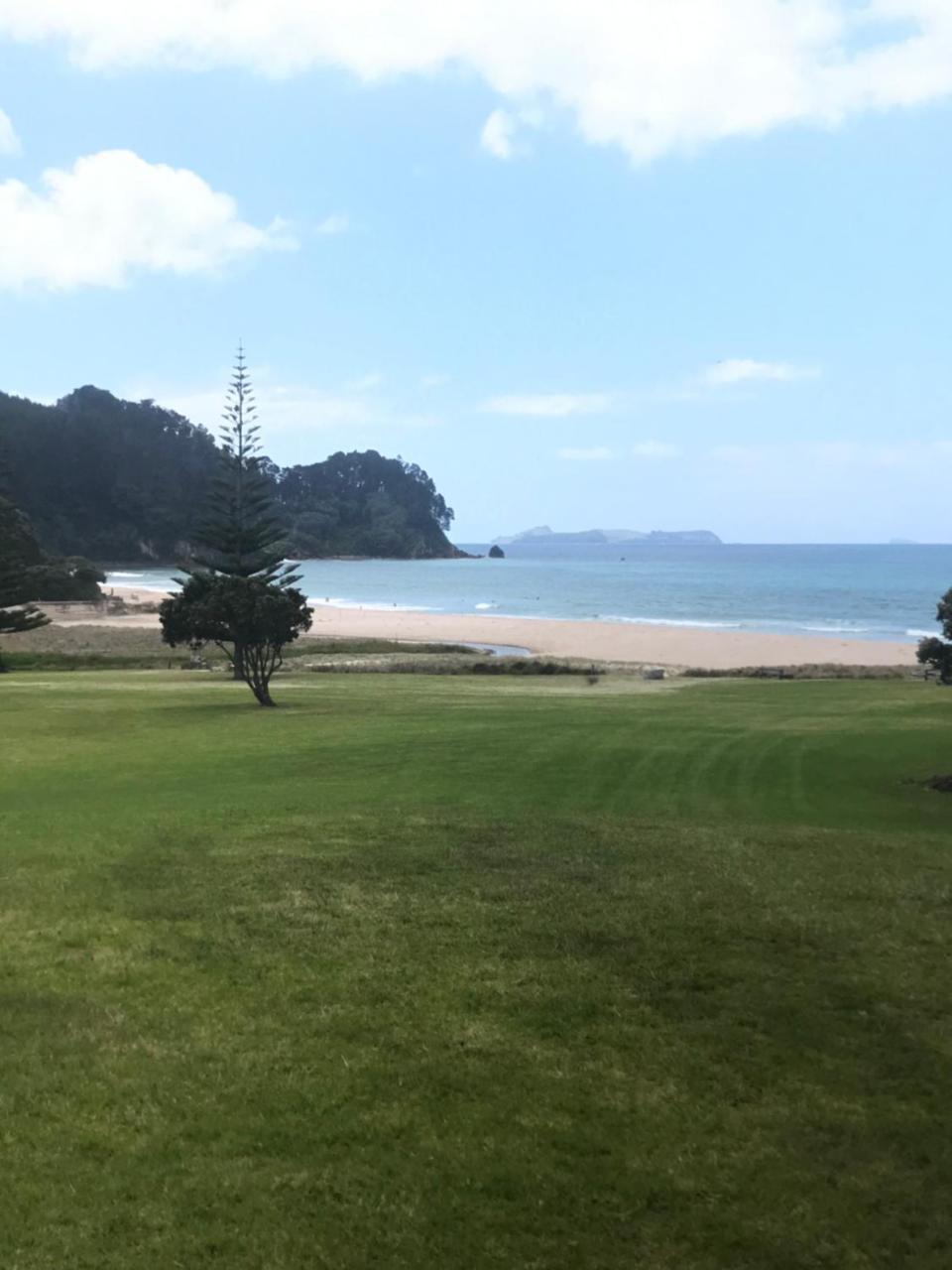 Paradise Grove Уангамата Экстерьер фото